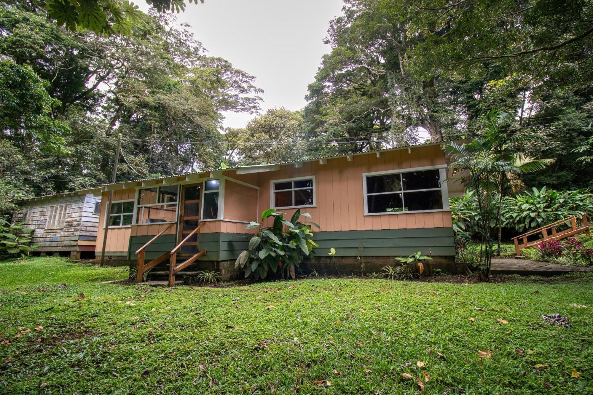 Forest Garden House Monteverde Екстериор снимка