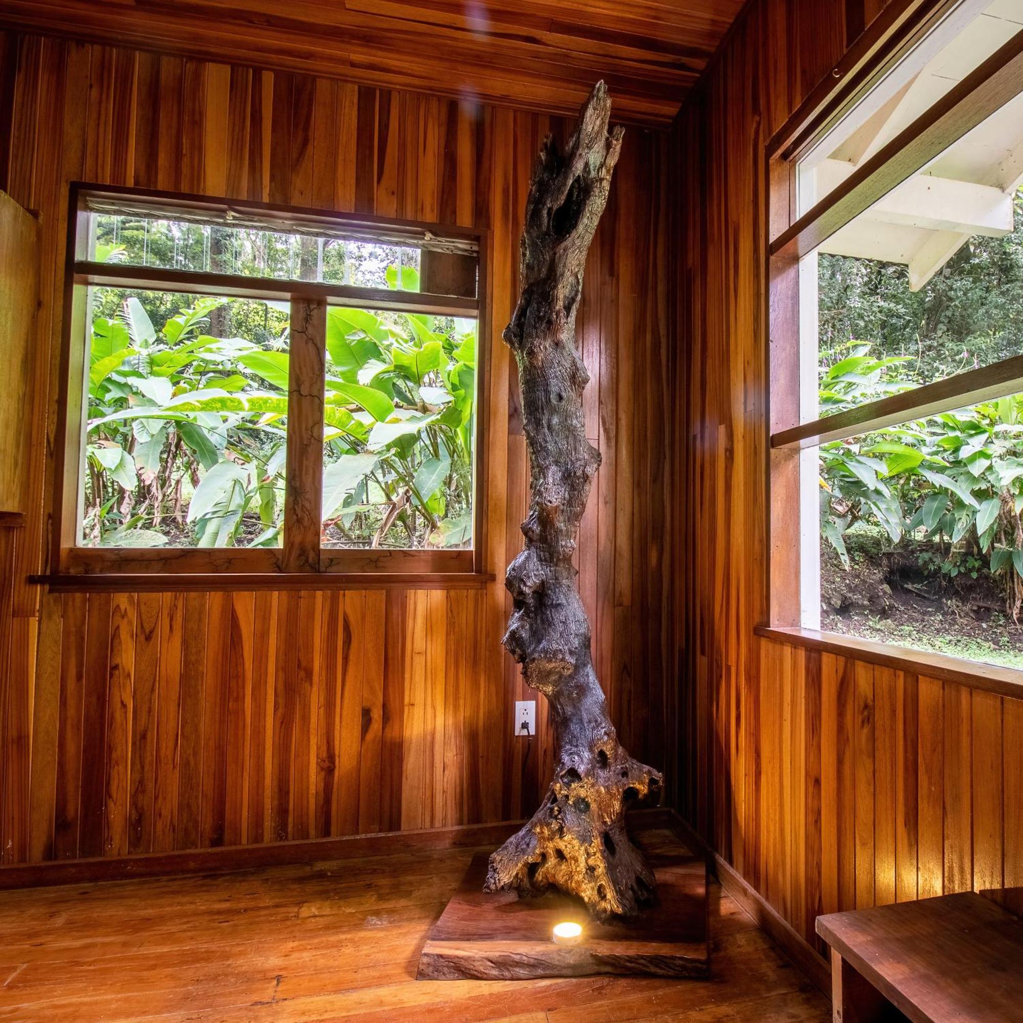 Forest Garden House Monteverde Екстериор снимка