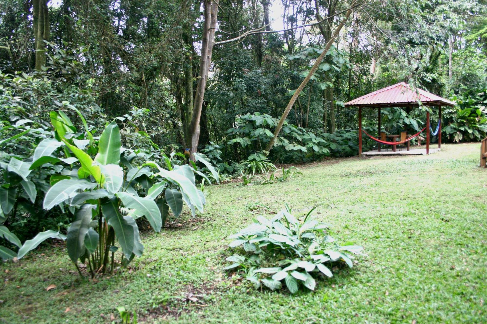 Forest Garden House Monteverde Екстериор снимка