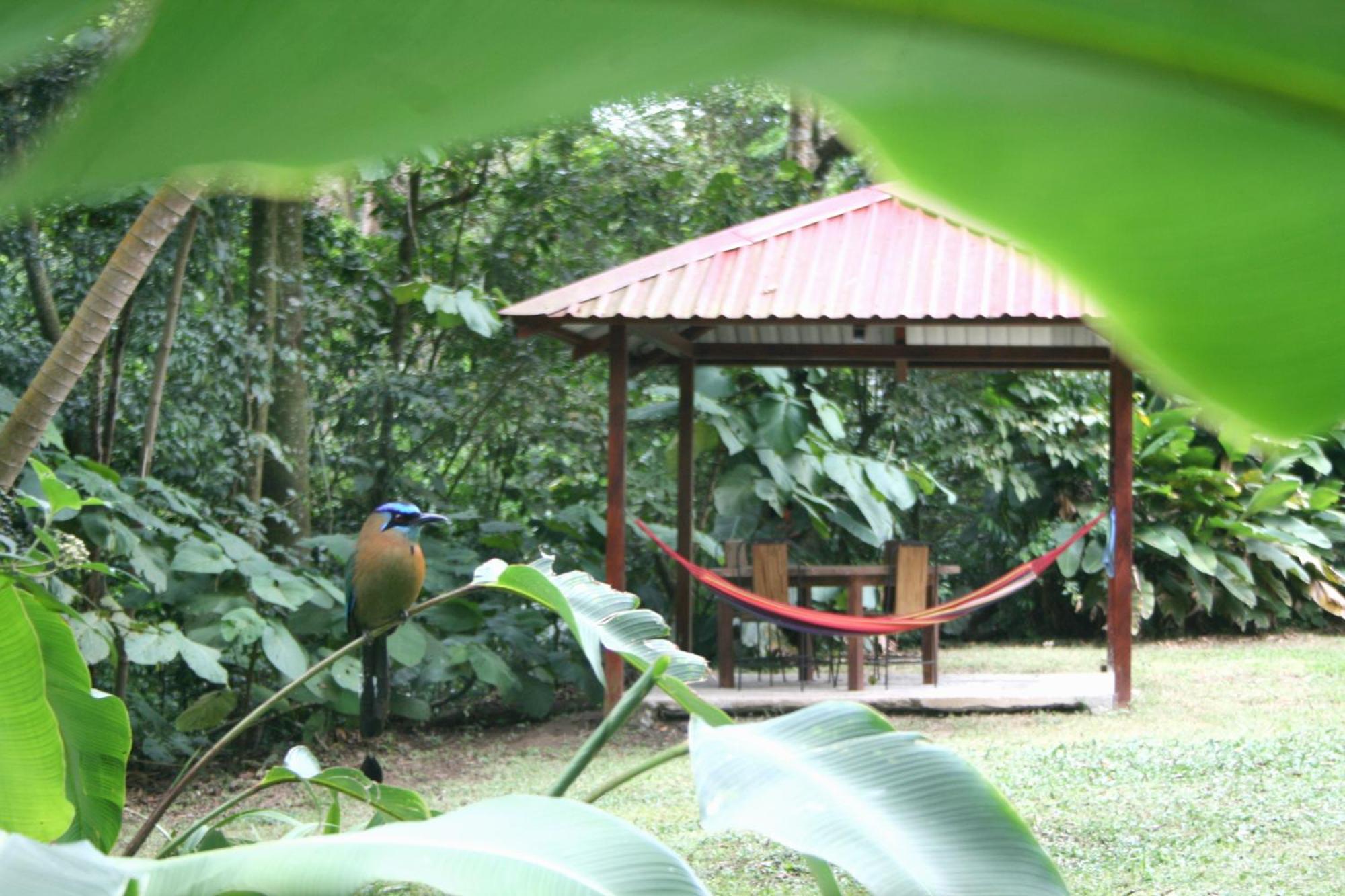 Forest Garden House Monteverde Екстериор снимка